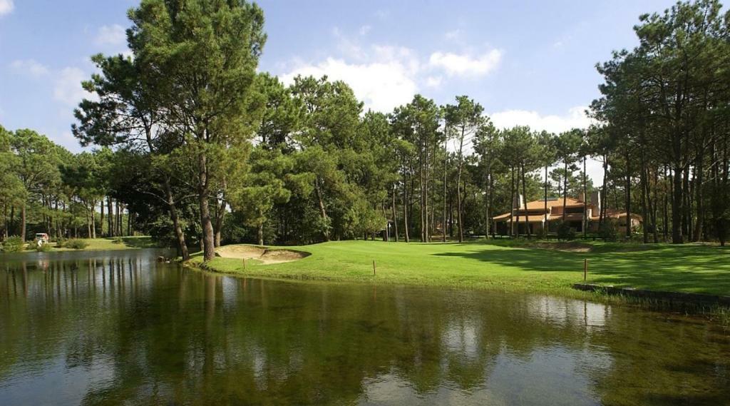 Sea Breeze Golf & Beach Villa Шарнека Екстер'єр фото